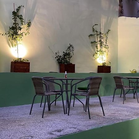 Cozy Apartment With Garden Near Town Center, Fully Renovated. 雅典 外观 照片